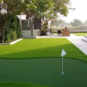 imgi_14_artificial-grass-putting-green