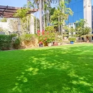 imgi_7_artificial-grass-dubai-after03 (1)